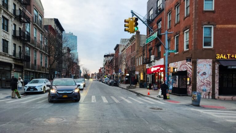 Brownstone row houses with high stoops on a tree-lined Brooklyn street
